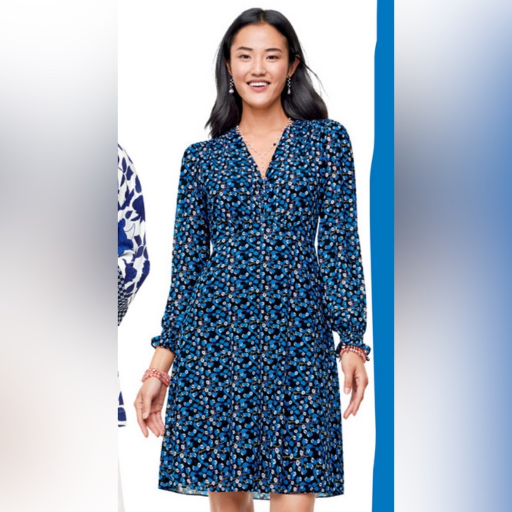 CAbi “The Ten Dress”